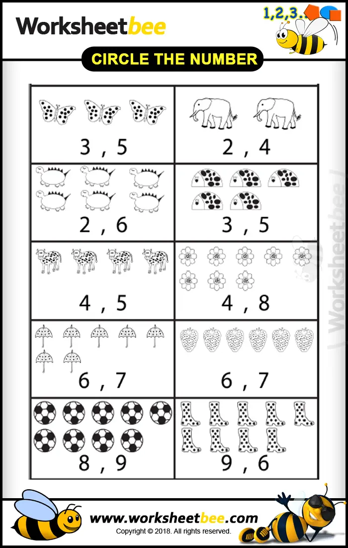 Count Circle The Largest Number Worksheet