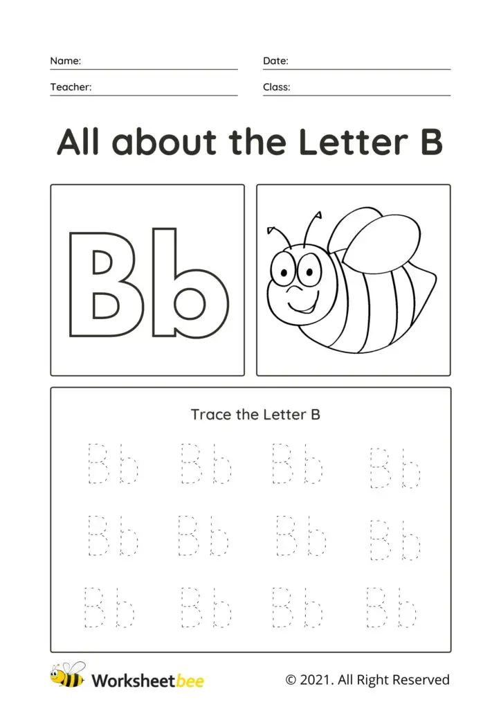 Trace the Letter B Uppercase and lowercase tracing sheet for kids