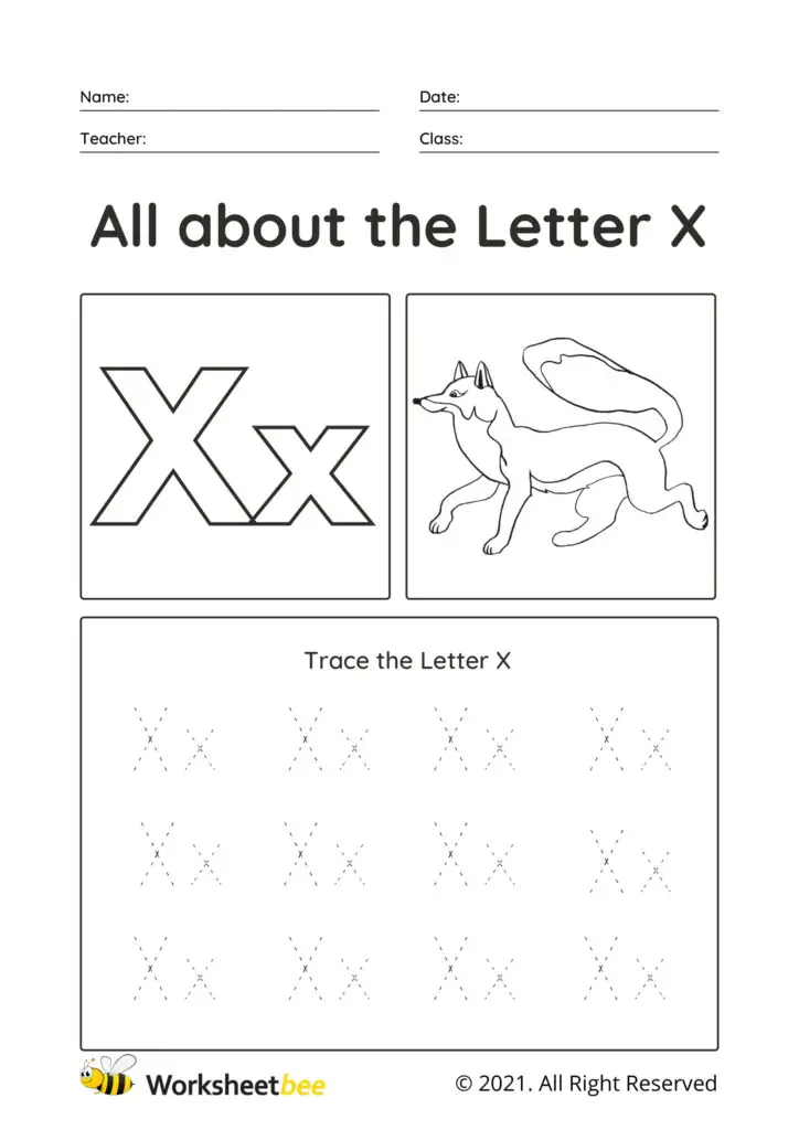 Trace the Letter X Uppercase and lowercase tracing sheet for kids